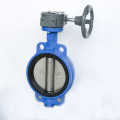 Disc Double Flange Butterfly Valve